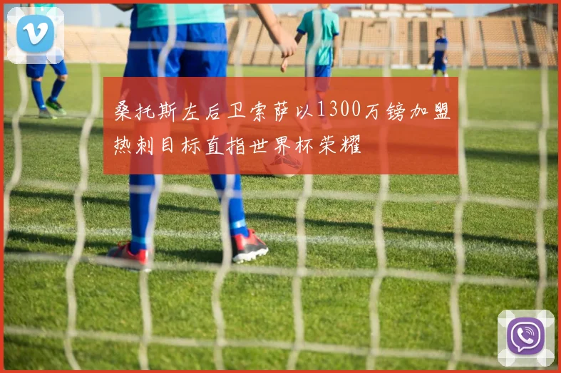 桑托斯左后卫索萨以1300万镑加盟热刺目标直指世界杯荣耀